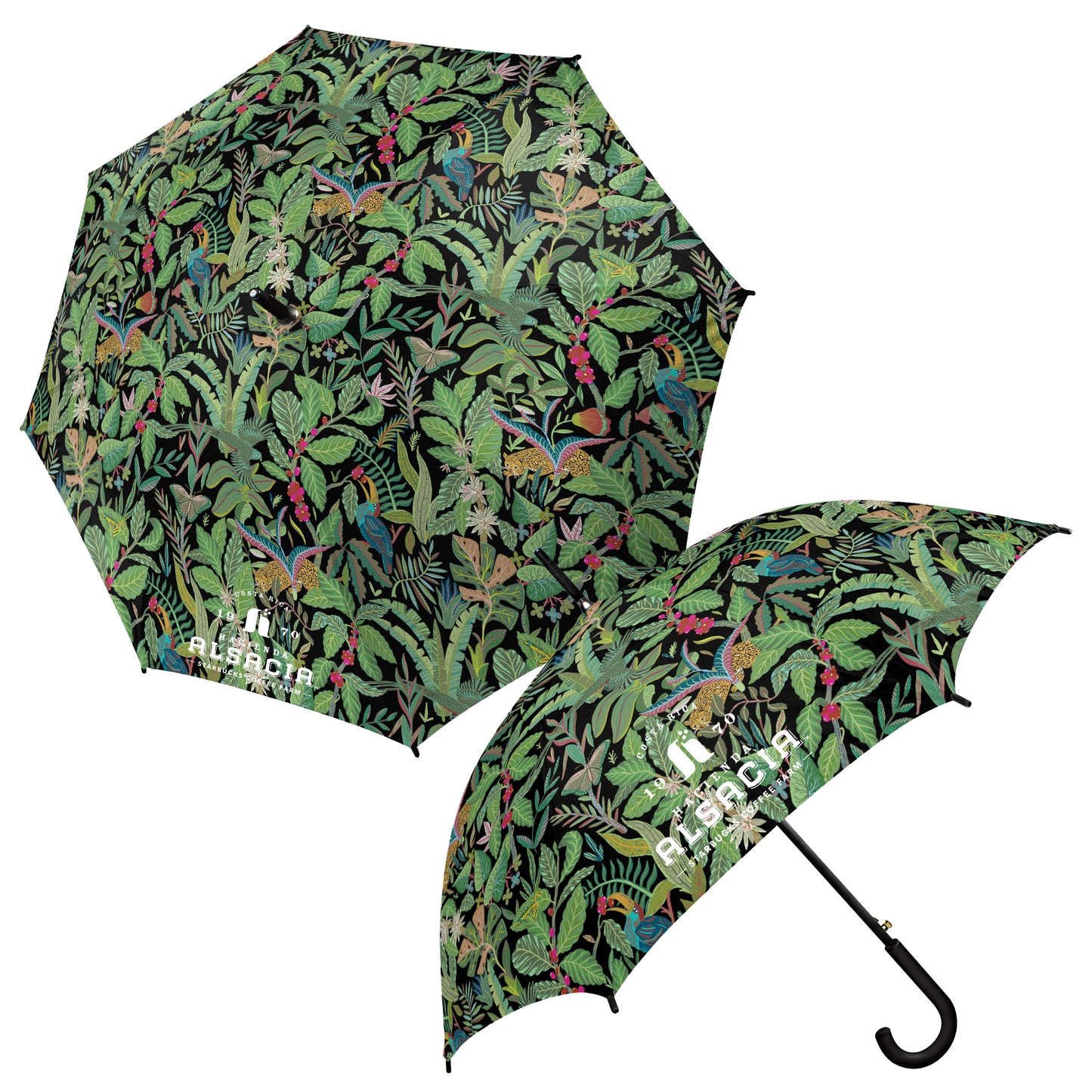 Vintage Custom Canopy Umbrella