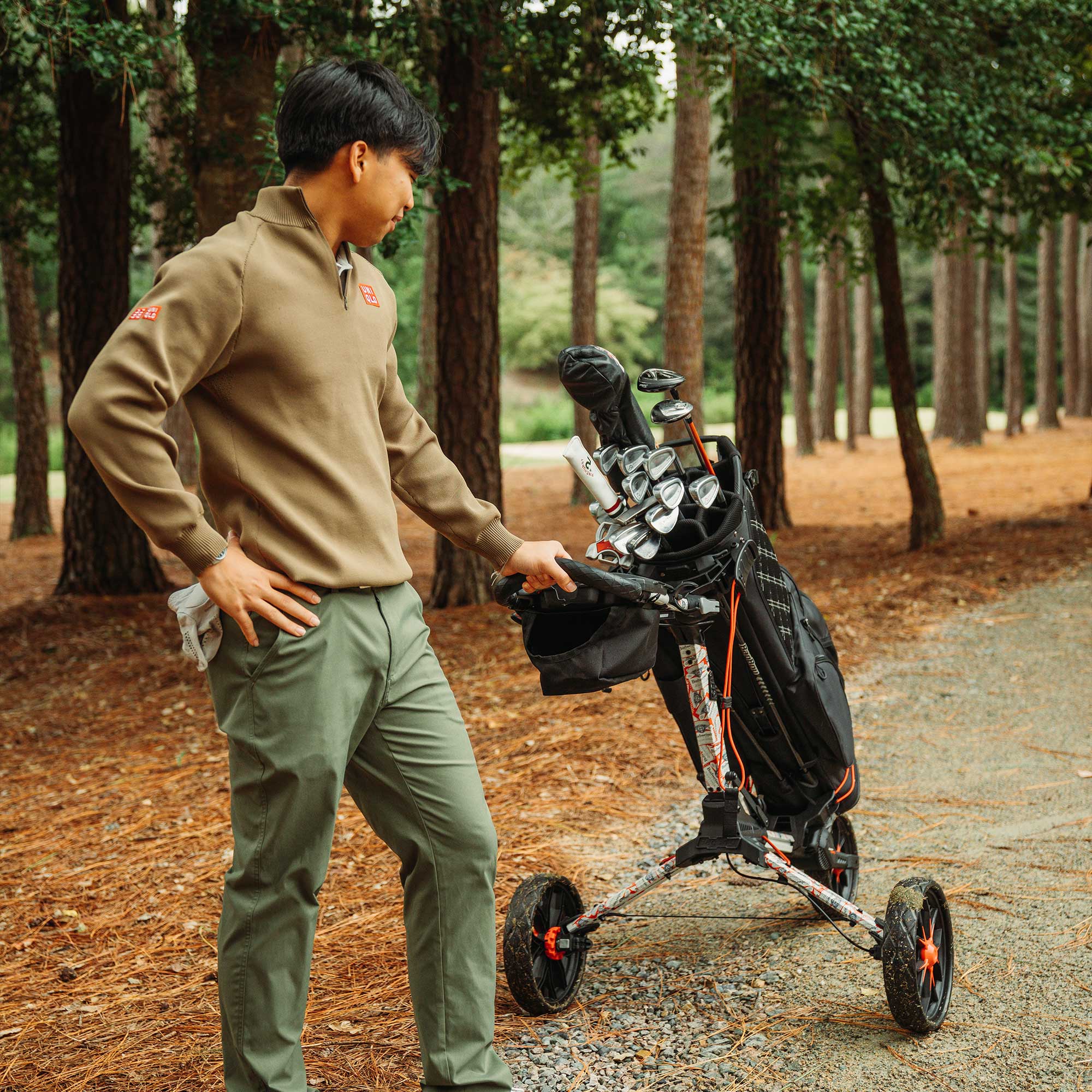 Push Carts Dynamic Brands Corporate Sales